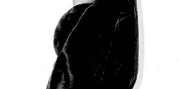 Janet Jackson_Blackglama ad_Salon Buzz Stay Gorgeous